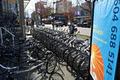 Spokes Bicycle Rentals image 4