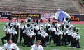 Strutters Drum & Bugle Corps image 2