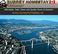 Surrey Homestay image 4