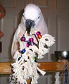 Sweet Beaks Bird Toys image 2