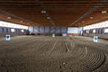 THOMSONS EQUINE SERVICES image 3