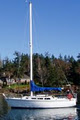Telltales Sailing School Sail Vancouver logo