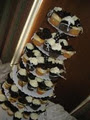 The Cupcake Corner image 1