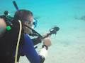 The Dive Outfitters - Scuba Diving & Snorkeling image 5