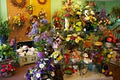 The Fredericton Florist image 2