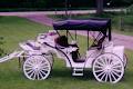 Thomson Carriage Service image 3