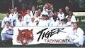 Tiger Taekwondo image 1