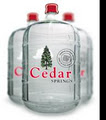 Toronto Bottled Water | Cedar Springs image 2