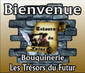 Tresors Du Futur (Les) logo