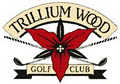 Trillium Wood Golf Club image 4