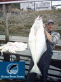 Ucluelet Sport Fishing image 6