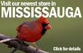 Urban Nature Store logo