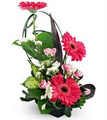 Vanderburgh Flowers image 4