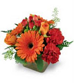 Vanderburgh Flowers image 1
