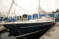 Vela Yacht Sales image 5