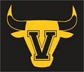 Victory Sports Camps - Basketball Balloholic logo