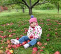 Waddell Apples image 2