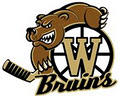Winfield & District Minor Hockey Association logo