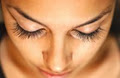 Winks Eyelash Extensions Boutique logo
