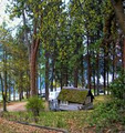 Wood Lake Terrace RV & Campground image 3
