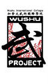Wushu Project - International College of Wushu image 2