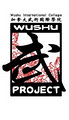 Wushu Project - International College of Wushu image 1