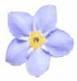 forgetmenotgiftsfromthe heart image 1