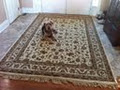 AREA RUG SHOP image 2