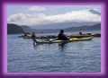 Adventuress Sea Kayaking image 5