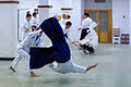 Aikido de la Montagne image 6