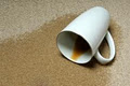 Alberta Pro Carpet Cleaning Plus image 3