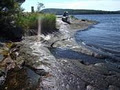 Algonquin Island Retreat image 5