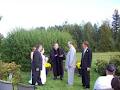 All Seasons Wedding Ceremonies image 2