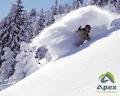 Apex Ski Shop image 5