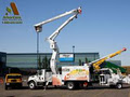 Arborcare Tree Service Ltd image 3