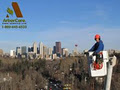 Arborcare Tree Service Ltd image 5