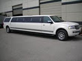 Arctic Ice Limousine image 3