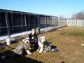 Binbrook Camp Kennel image 1