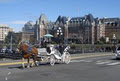 Black Beauty Line Ltd. Victorian Carriage Tours image 5