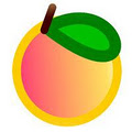 Blushing Peach Photography logo