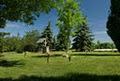 Brampton Memorial Gardens image 6
