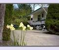 Burnaby Cariboo R V Park Inc image 3