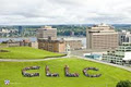 CLLC - Canadian Language Learning College logo