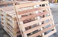 Canadian Wood Pallet & Container Association logo