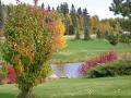 Canyon Creek Golf Course & Camping image 3