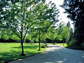 Capilano View Cemetery | District of West Vancouver image 2