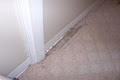 Carpet Repairs Only image 3