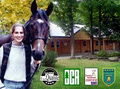 Centre D'Équitation Sans Souci inc. image 1