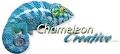Chameleon Creative Graphic & Web Design image 4