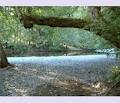 Chemainus River Campground image 1